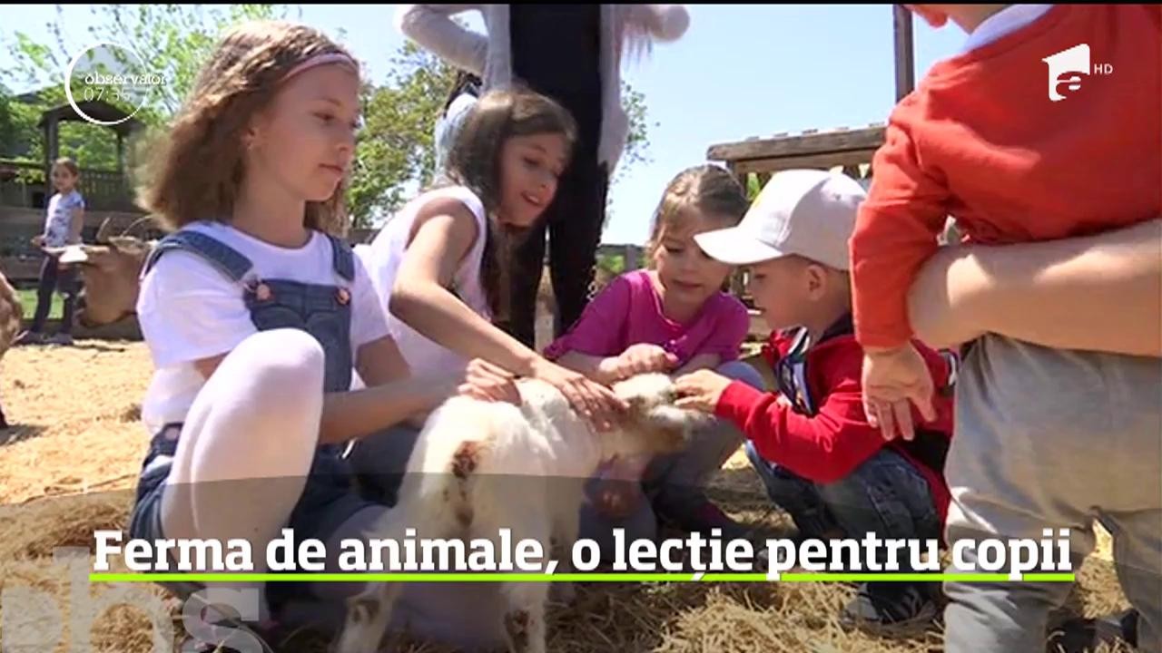 Copiii &icirc;nvață despre animale prin joacă