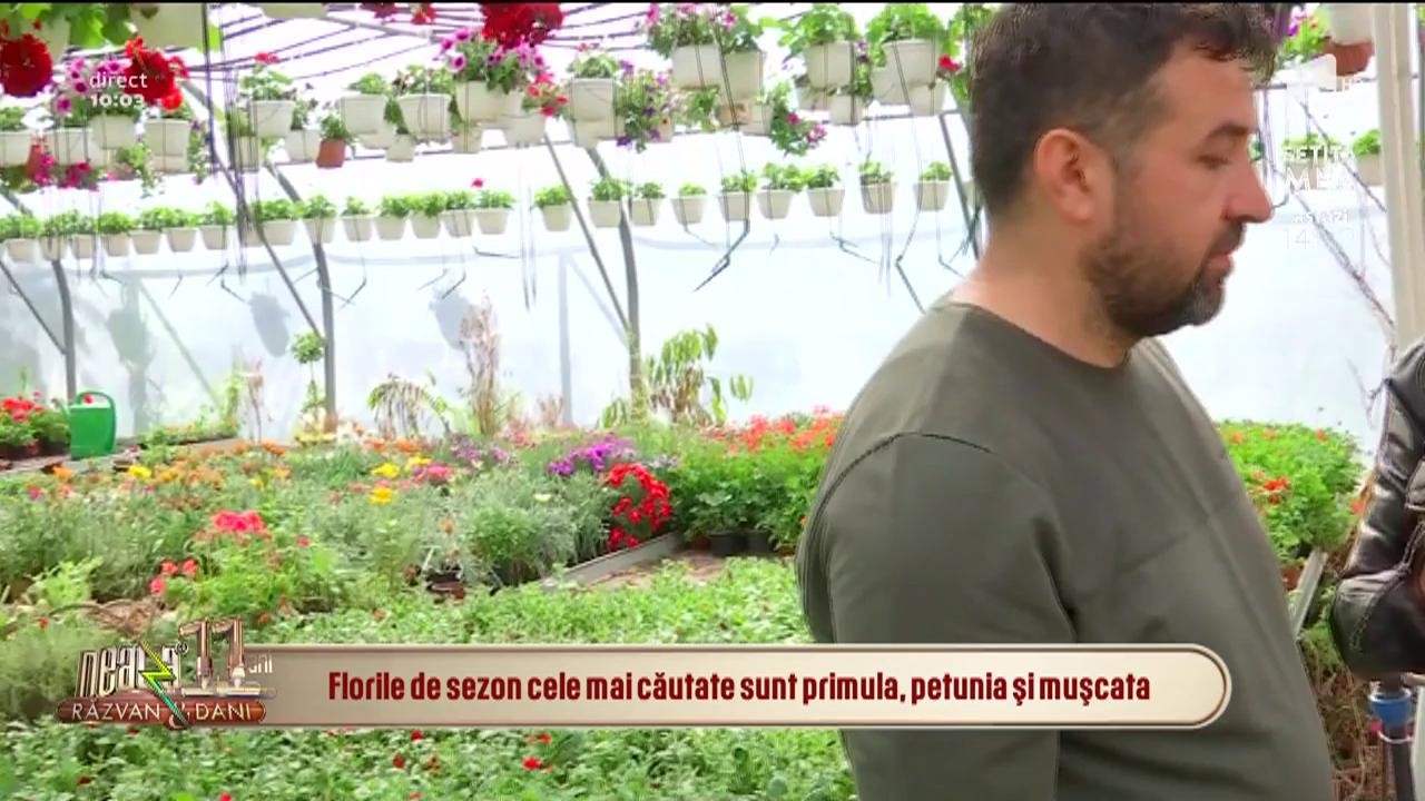 Povestea unui milionar &icirc;n flori! Florin Ristea a adus moda serelor &icirc;mbelușugate &icirc;n București