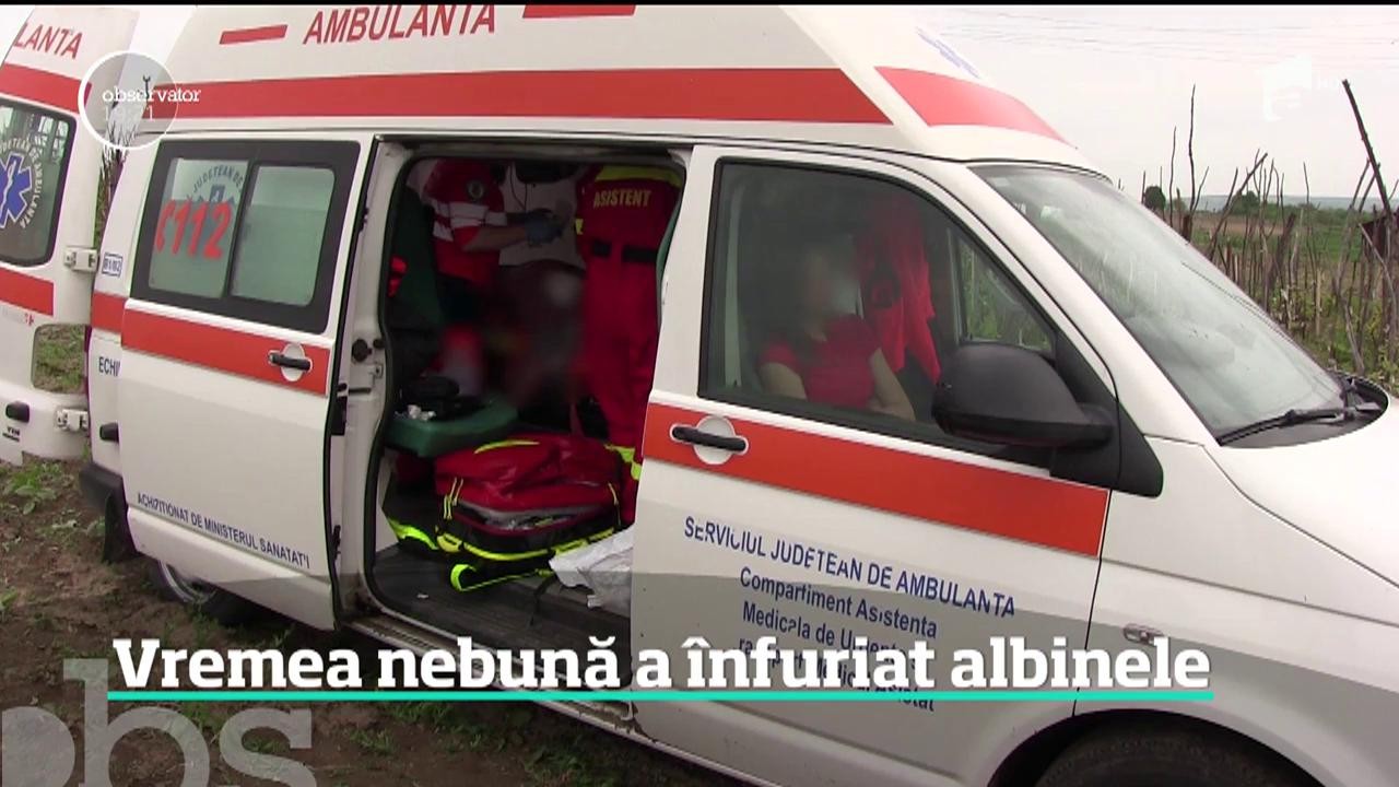 Schimbărilor bruşte de vreme &icirc;nfurie albinele. Un bărbat din Vaslui a murit după ce a fost &icirc;nţepat de un roi de albine