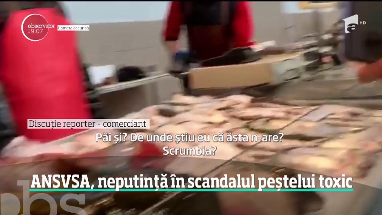 Scandalul peștelui toxic. Analizele durează şi cinci zile, iar p&acirc;nă vin rezultatele marfa este deja v&acirc;ndută