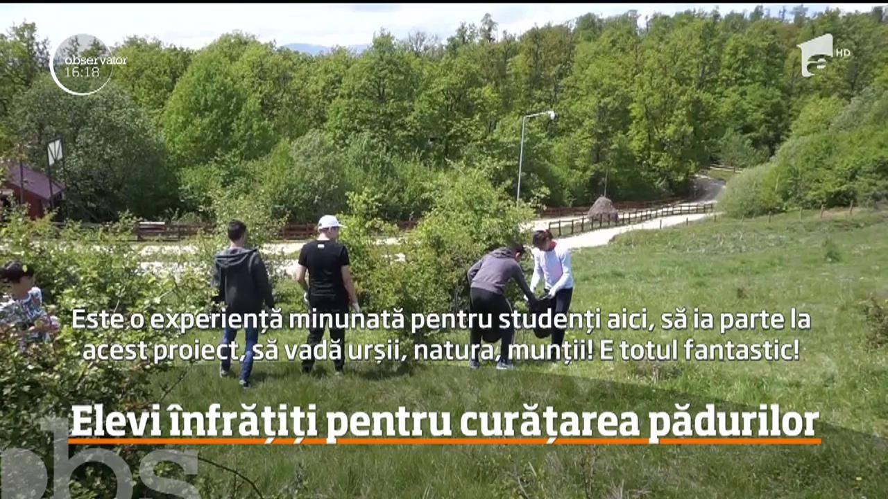 Zeci de elevi din patru ţării, &icirc;nfrățiți pentru curățarea pădurilor