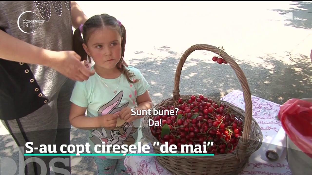 Au apărut cireşele de mai şi sunt mult mai ieftine dec&acirc;t cele din import