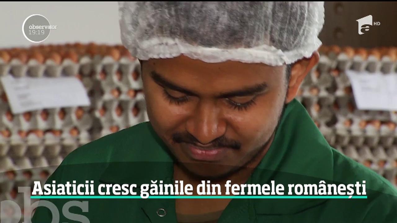 Vom m&acirc;nca ouă rom&acirc;neşti, sortate de asiatici!