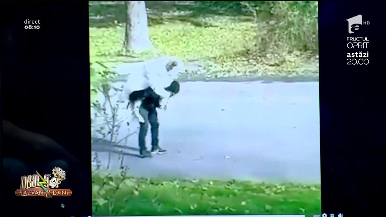 Neatza cu Răzvan și Dani! Smiley News. Ce faci c&acirc;nd &icirc;ți obosește cățelul la plimbare