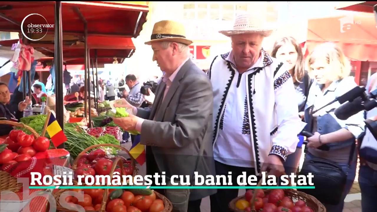 Primele roşii rom&acirc;neşti, dulci şi aromate, au ajuns &icirc;n pieţe