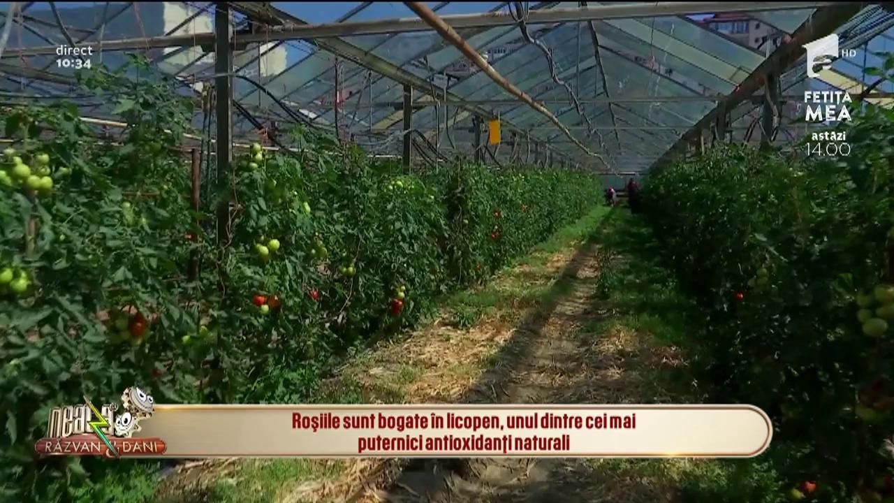 Neatza cu Răzvan și Dani. Cum arată roșiile rom&acirc;nești si cum le recunoaștem