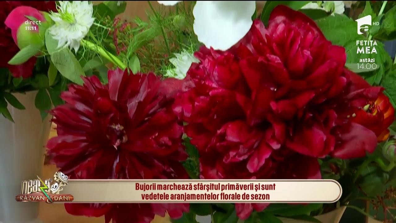 Bujorii, vedetele aranjamentelor florale de sezon