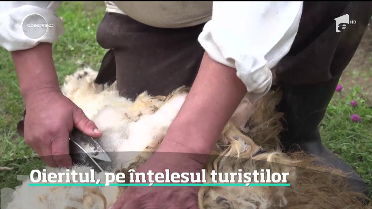 Oieritul, pe &icirc;nțelesul turiștilor