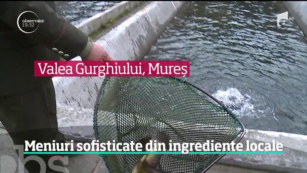 Resturantele devin cei mai buni clienţi pentru producătorii şi fermierii rom&acirc;ni. Şi asta pentru că produsele "de ţară" dau alt gust m&acirc;ncărurilor