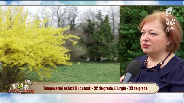 Prognoza meteo. Florinela Georgescu, director meteorologie operațională ANM:  Ploi, v&acirc;nt și 33 de grade