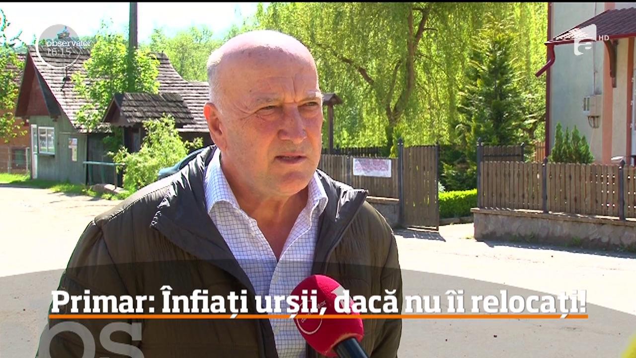 Propunere neobișnuită de la un primar dintr-o comună argeșeană. Preşedintele Rom&acirc;niei şi parlamentarii să adopte c&acirc;te un urs