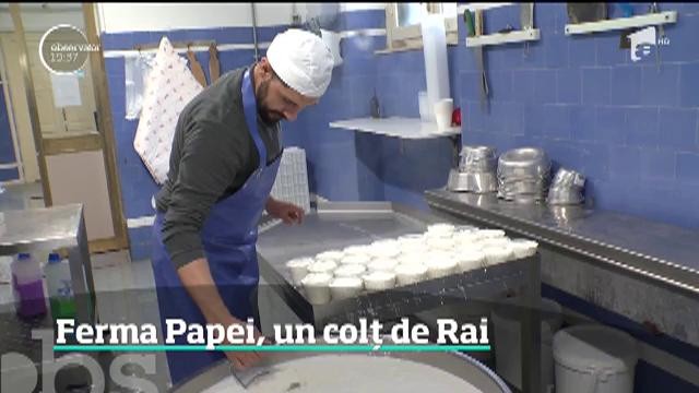 Ferma Papei Francisc, un colț de Rai