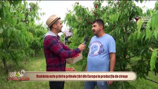 Neatza cu Răzvan și Dani. Rom&acirc;nia, printre primele țări din Europa la producția de cireșe