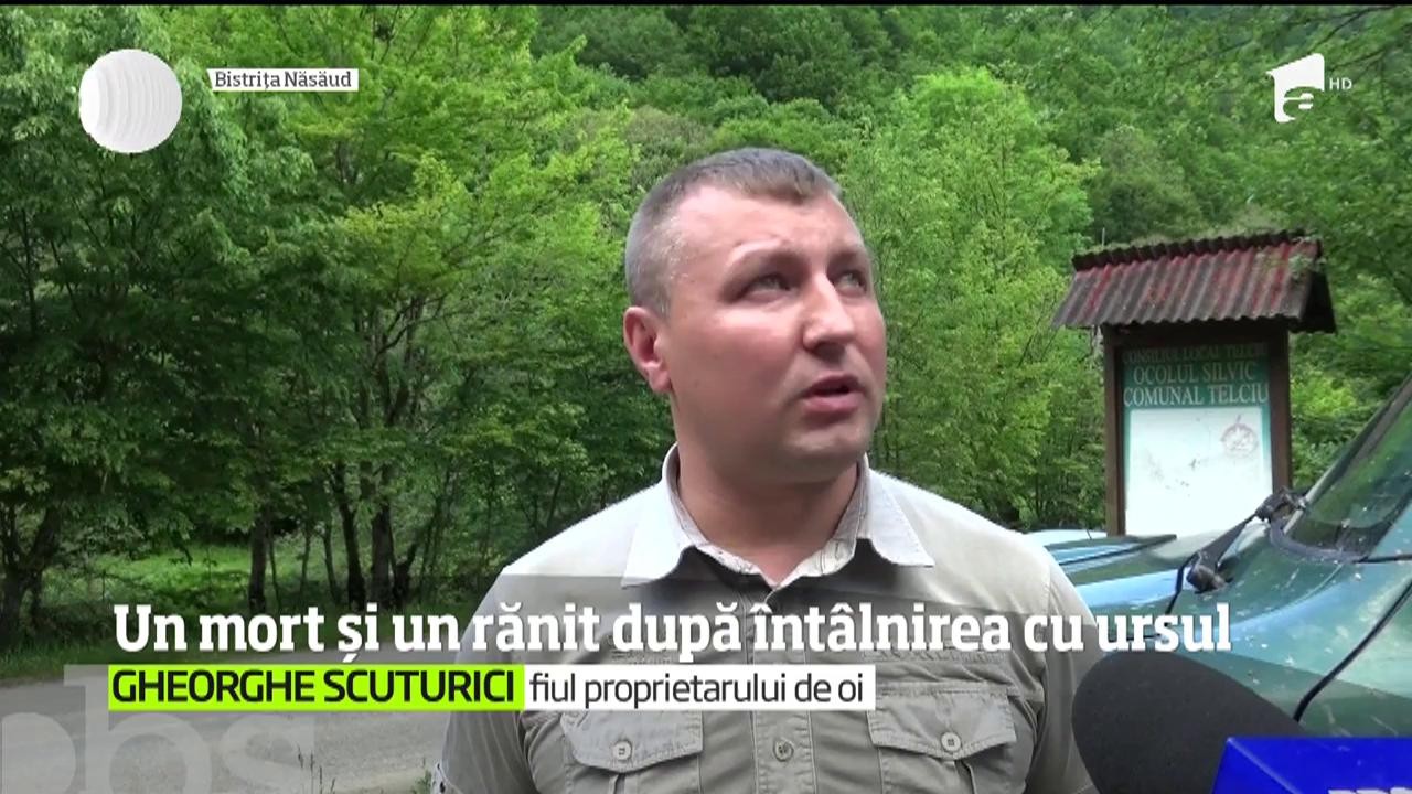 Două noi cazuri de &icirc;nt&acirc;lniri extrem de violente cu urşii s-au lăsat cu un bilanţ tragic