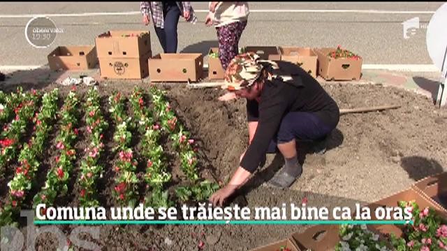&Icirc;ntr-o comună din Vaslui se trăiește mai bine ca la oraș