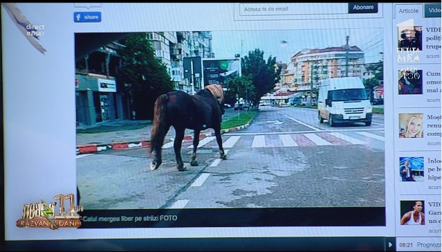 Cal la plimbare prin centrul oraşului Botoșani, timp de două ore!