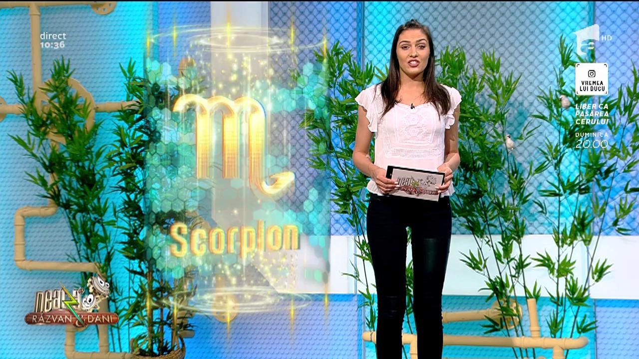 Neatza cu Răzvan și Dani. Horoscopul Carierei, 6 iunie 2019. Taurii primesc propuneri de avansare sau o mărire de salariu