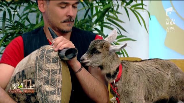 Neatza cu Răzvan și Dani.Test de inteligență pentru căprița Cleopatra, cea mai bună prietenă a Marianei Calfa, pictorița din castel: C&acirc;t fac doi plus doi?