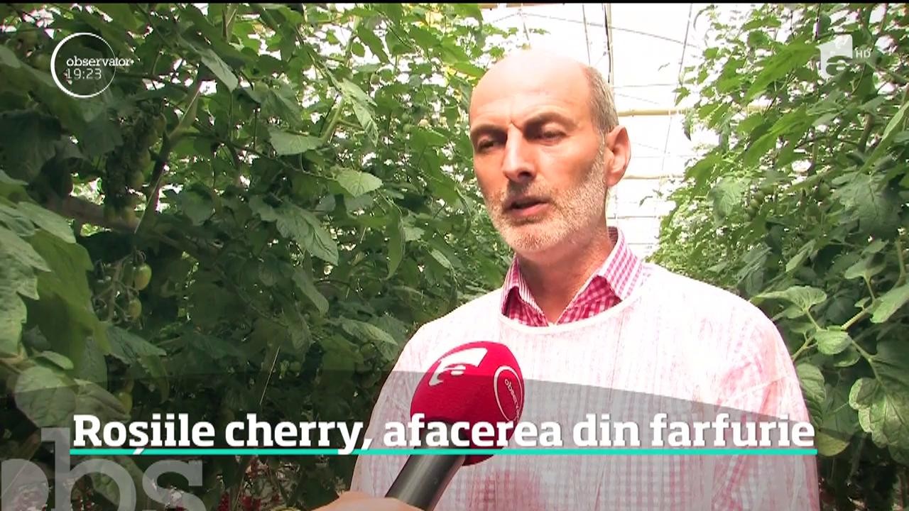 Roşiile cherry c&acirc;ştigă tot mai mult teren &icirc;n faţa celorlalte soiuri