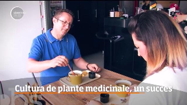 Din ce &icirc;n ce mai mulţi agricultori renunţă la culturile tradiţionale, &icirc;n favoarea celor de plante medicinale