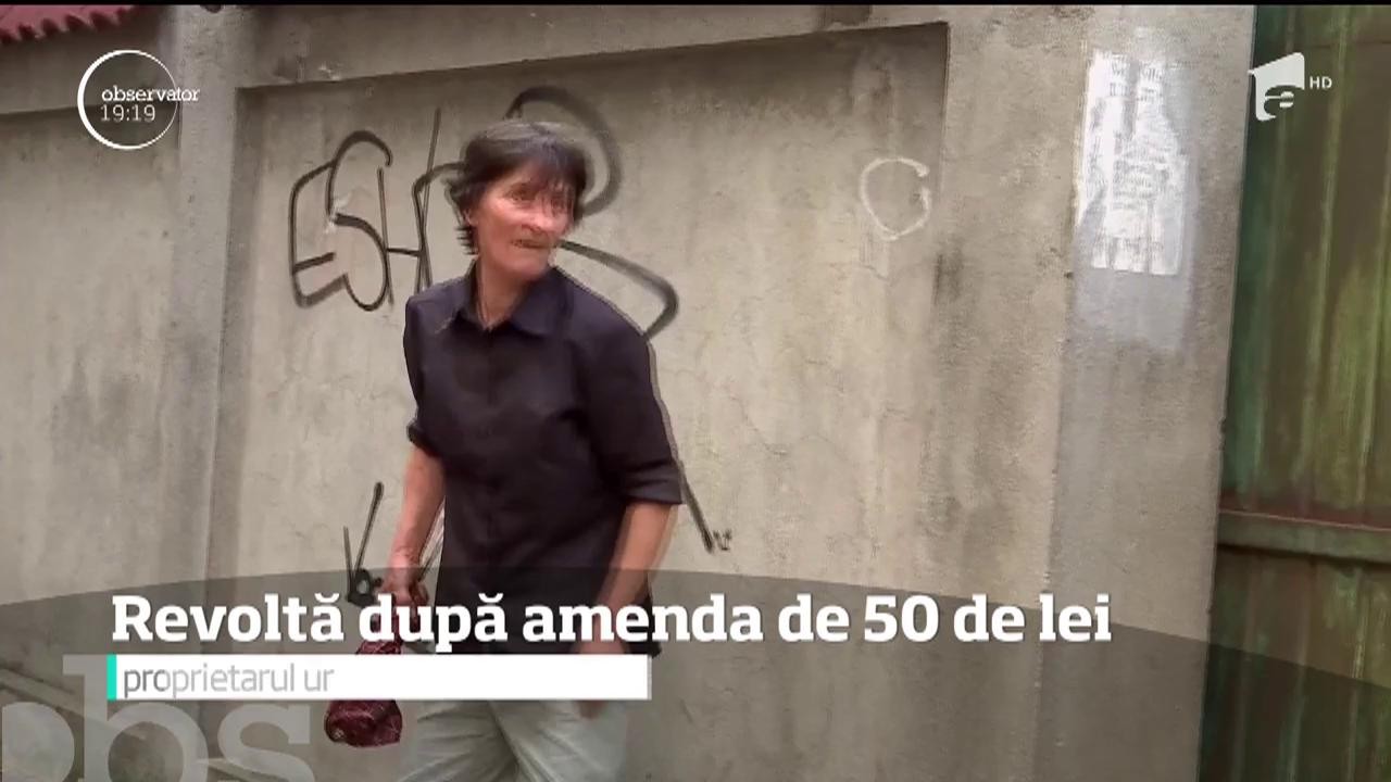 &Icirc;n Rom&acirc;nia sunt zeci de mii de proprietari de c&acirc;ini agresivi care se supun unei legi veche de mai bine de 20 de ani