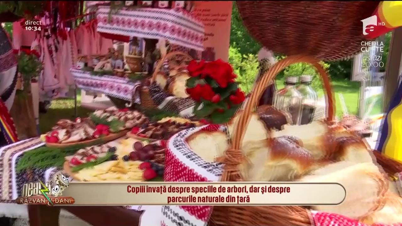 Neatza cu Răzvan și Dani. Bogățiile pădurilor, pe &icirc;nțelesul copiilor, la Ziua porților deschise de la Romsilva