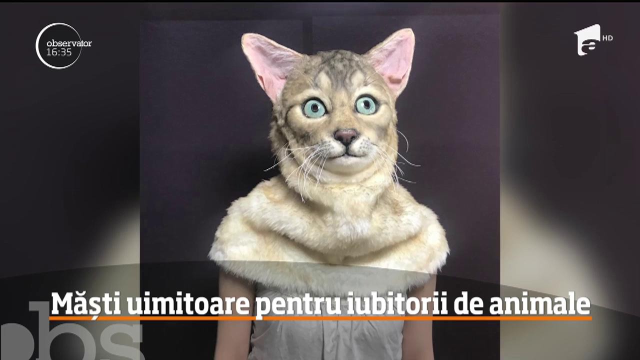 Măști pentru iubitorii de animale. C&acirc;t vă costă o mască care imită fizionomia animalului de companie