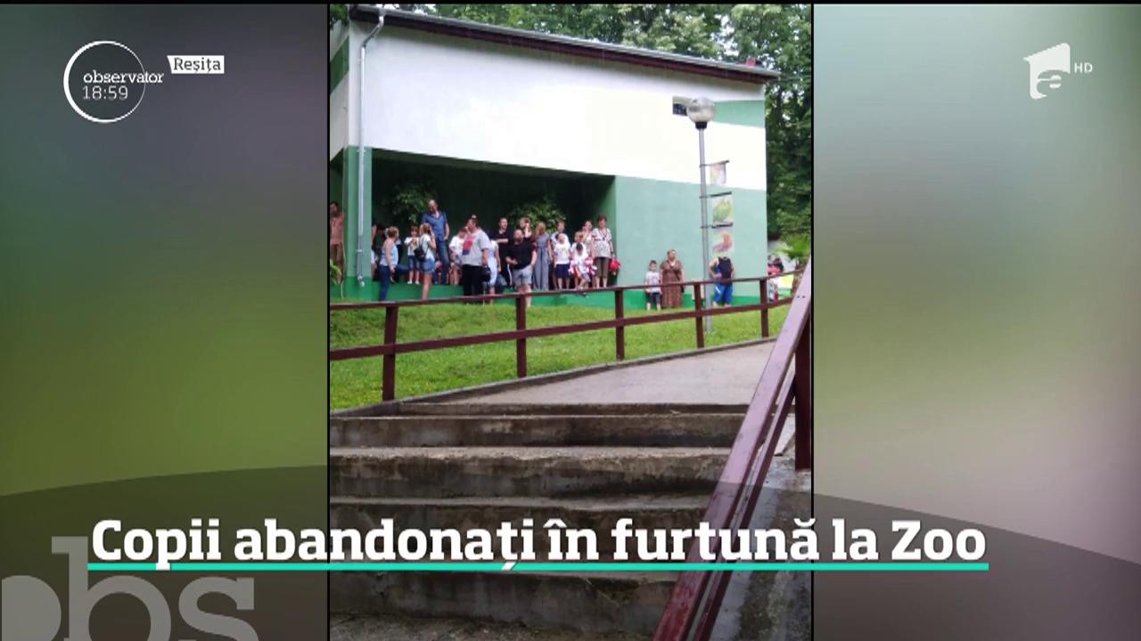 Inundaţiile de cod roşu, copii abandonați &icirc;n furtună la grădină zoologică din Reșița