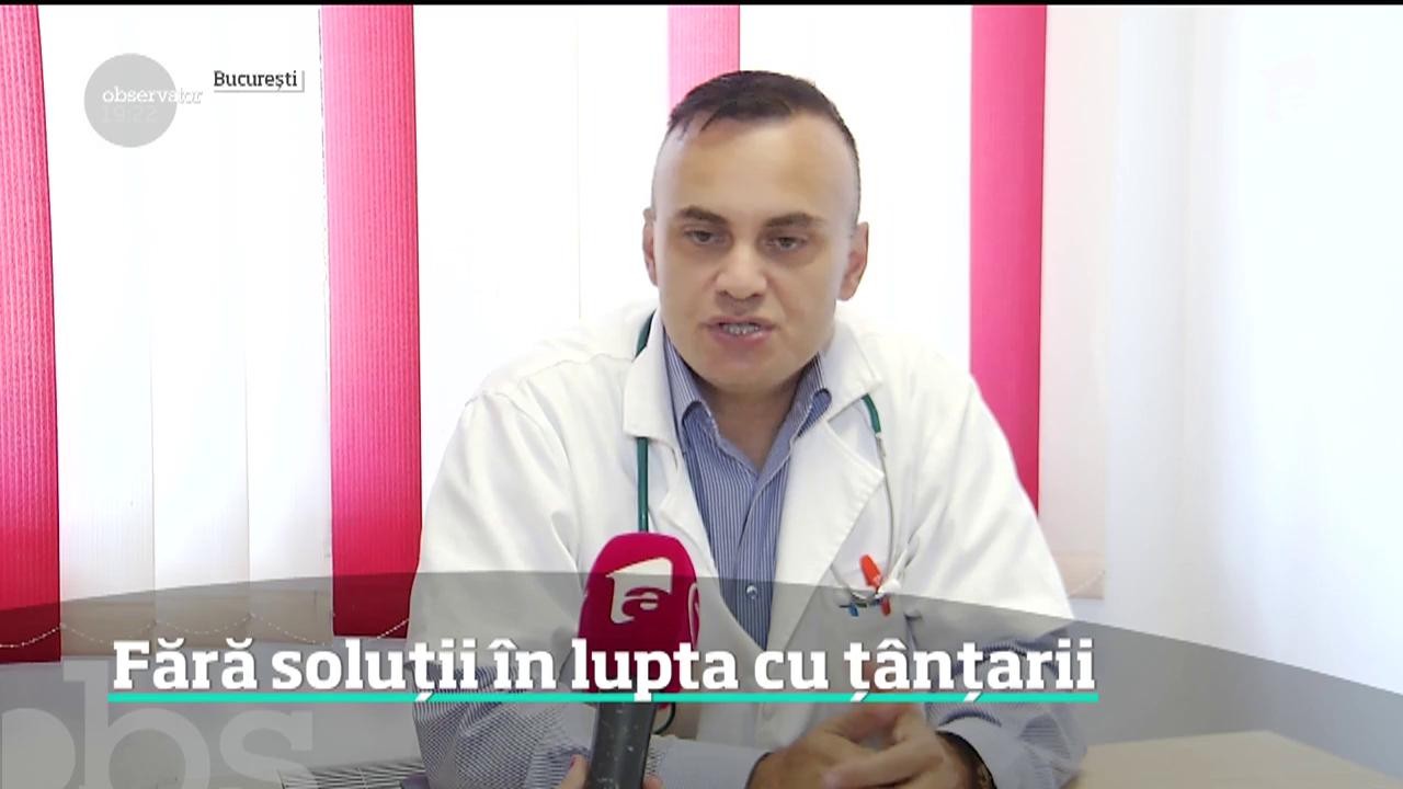 Fără soluții &icirc;n lupta cu ț&acirc;nțarii. Mai agresivi şi mai mari faţă de anii trecuţi, aceştia &icirc;şi aleg cu atenţie ţintele favorite, copiii!