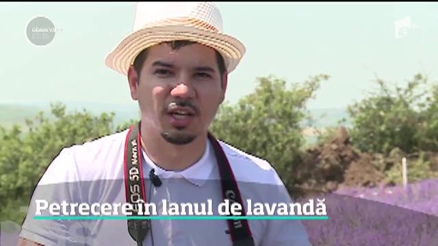 Petrecere &icirc;n lanul de lavandă, &icirc;n Mureş