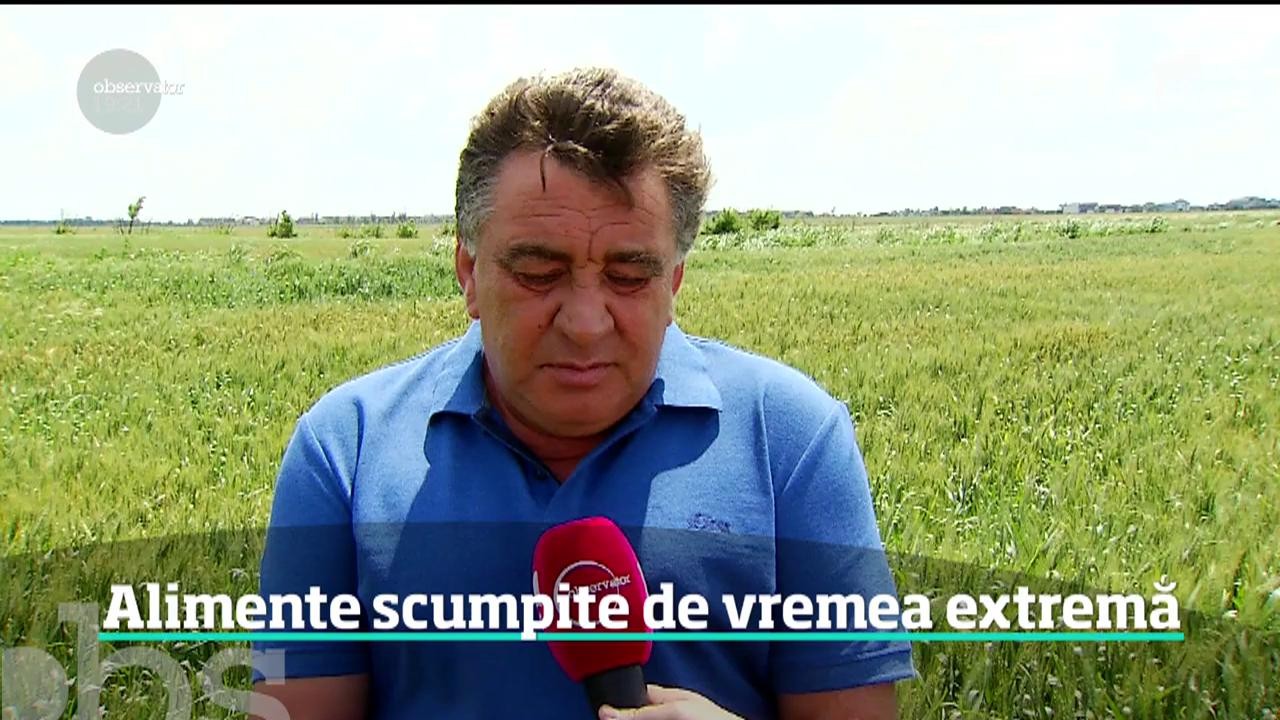 Vine vremea scumpirilor! Fermierii se pl&acirc;ng că p&acirc;nă şi producţia de lapte este afectată de vremea rea