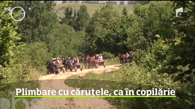 Turiștii care ajung &icirc;n Harghita, plimbați cu căruțele