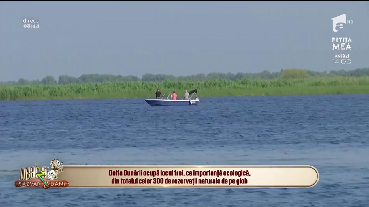 Neatza cu Răzvan și Dani. Cum este viața de pescar &icirc;n Delta Dunării. Lucian: Este și frumoasă și grea. Iarna &icirc;ngheață tot...