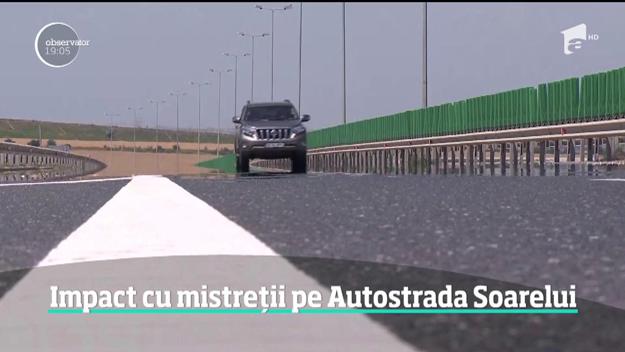 Pe autostradă, ca &icirc;n junglă! O familie a intrat cu maşina &icirc;n mai mulţi mistreţi care le-au sărit &icirc;n faţă