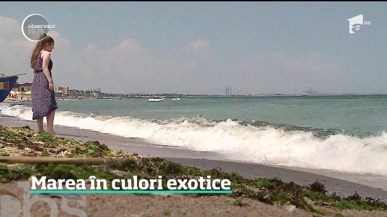 Nu trebuie să mergem p&acirc;nă pe o insulă la Oceanul Indian, pentru un peisaj exotic. Marea Neagră e mai spectaculoasă ca oric&acirc;nd