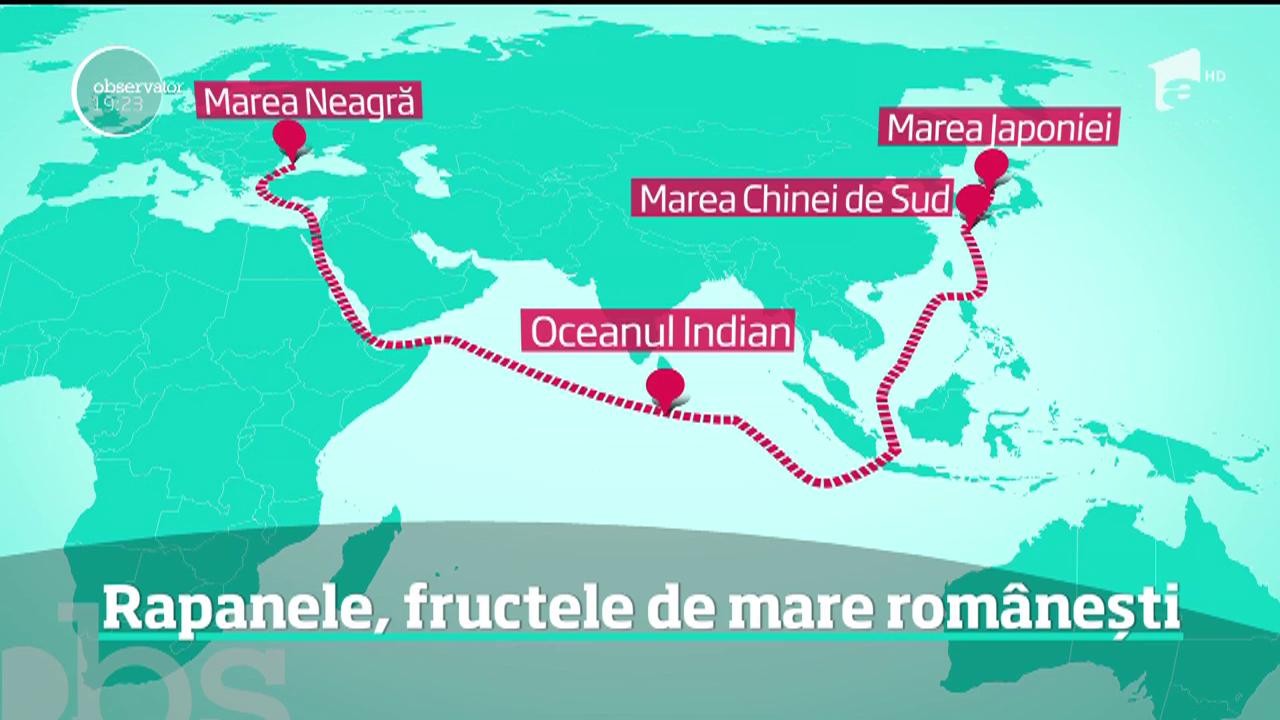 Rapanele, tot mai apreciate de turiştii rom&acirc;ni
