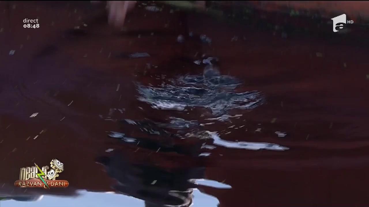 Dani Oțil, eroul zilei de la Neatza cu Răzvan și Dani! A eliberat o broască țestoasă &icirc;n Delta Dunării!