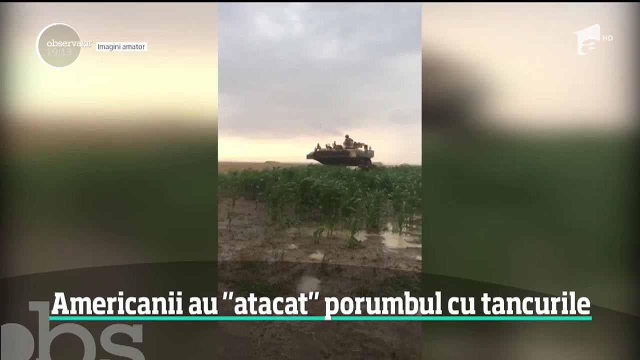 eci de hectare de porumb şi de gr&acirc;u au fost distruse de tancuri blindate americane