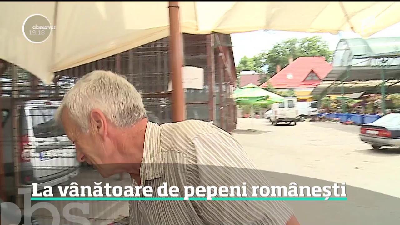 Mult-aşteptatul pepene rom&acirc;nesc a apărut &icirc;n pieţe, mai t&acirc;rziu dec&acirc;t ar fi trebuit