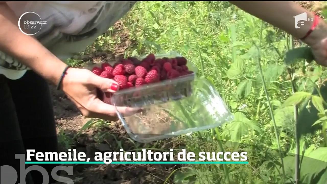 O treime dintre afacerile agricole sunt conduse de femei, arată chiar statisticile europene