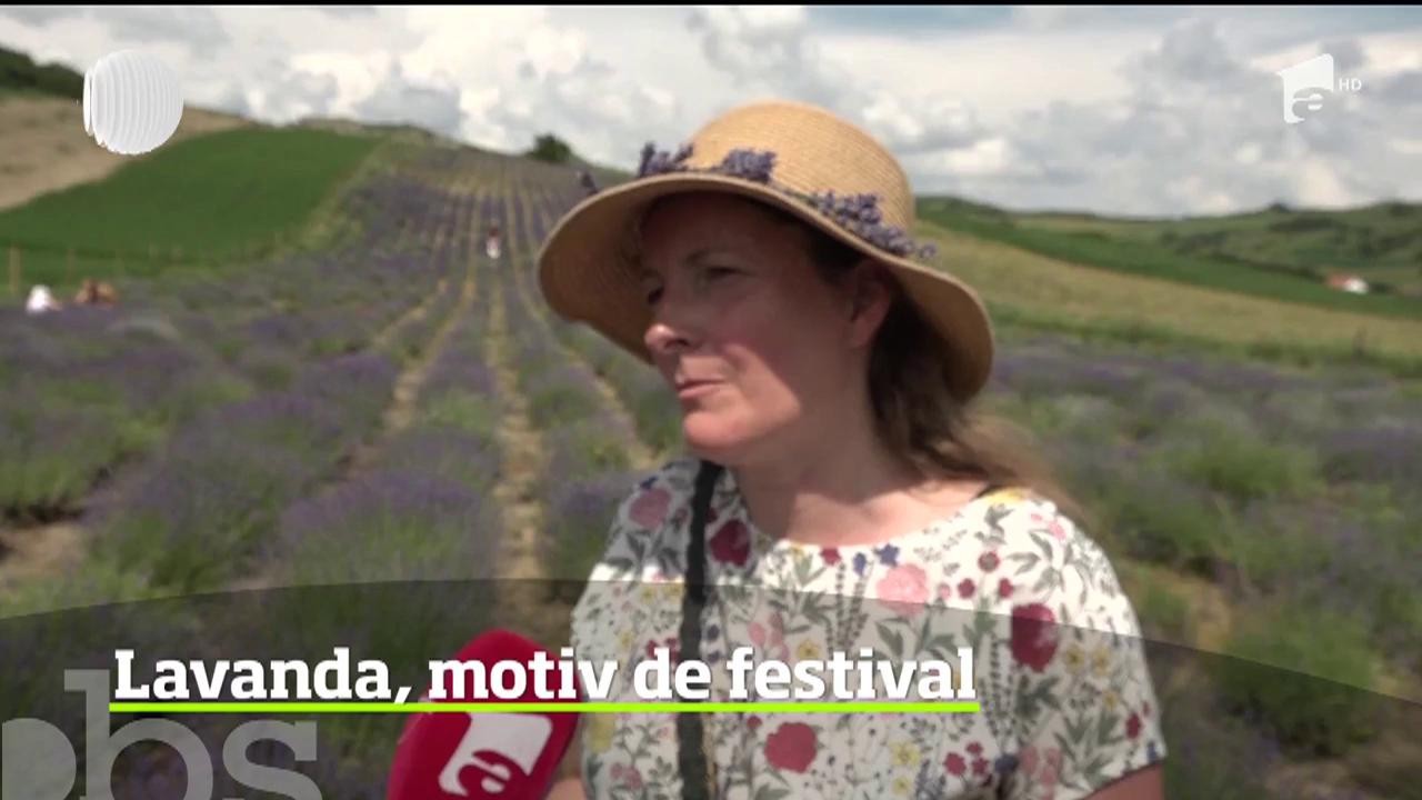 Lavanda, motiv de festival &icirc;ntr-un sat din Harghita
