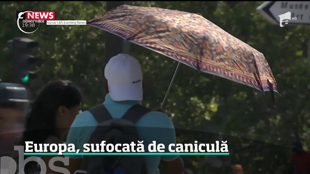 Europa, sufocată de caniculă