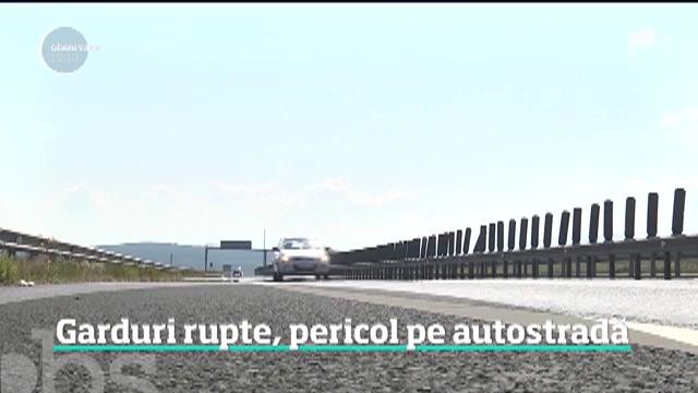Animale pe autostrăzile Rom&acirc;niei. Gardurile de protecţie sunt peticite din loc &icirc;n loc