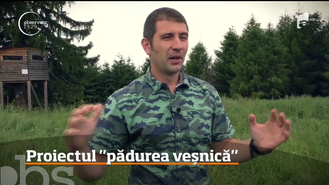 O pădure ca &icirc;n poveşti, adică nemuritoare şi veşnic verde, este primul proiect de acest gen implementat &icirc;n Rom&acirc;nia