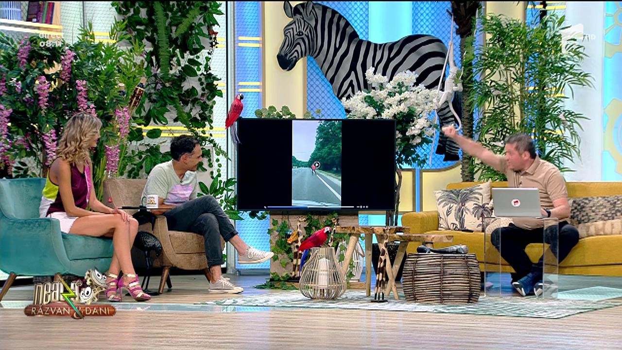 Smiley News - Neatza cu Răzvan și Dani. Superman, tras pe dreapta de Poliția Rom&acirc;nă!