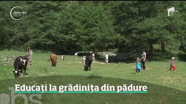 Sistemul de predare din ţările nordice c&acirc;ştigă din ce &icirc;n ce mai mult teren și &icirc;n Rom&acirc;nia