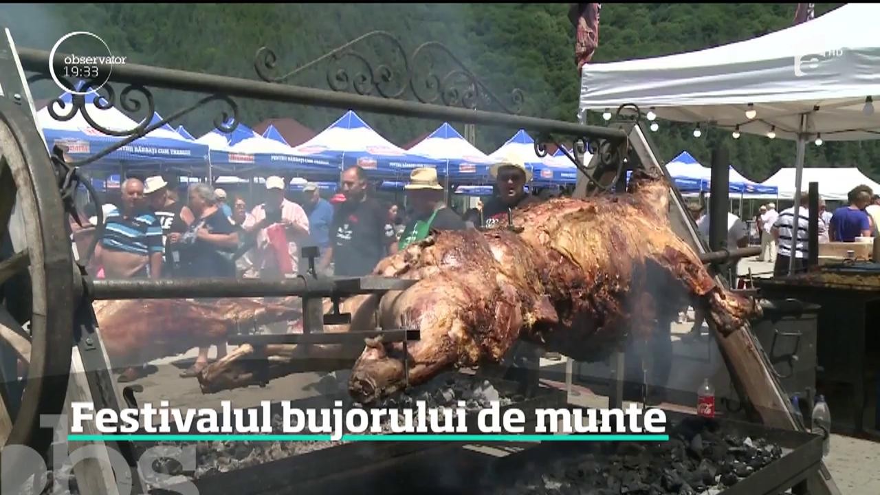 Turiştii şi localnicii de la poalele munţilor Cibinului petrec zile şi nopţi magice la festivalul bujorului rom&acirc;nesc
