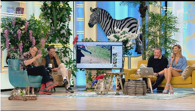 Smiley news - Neatza cu Răzvan și Dani. Primul și ultimul c&acirc;ntăreț cu acordeon pe cal