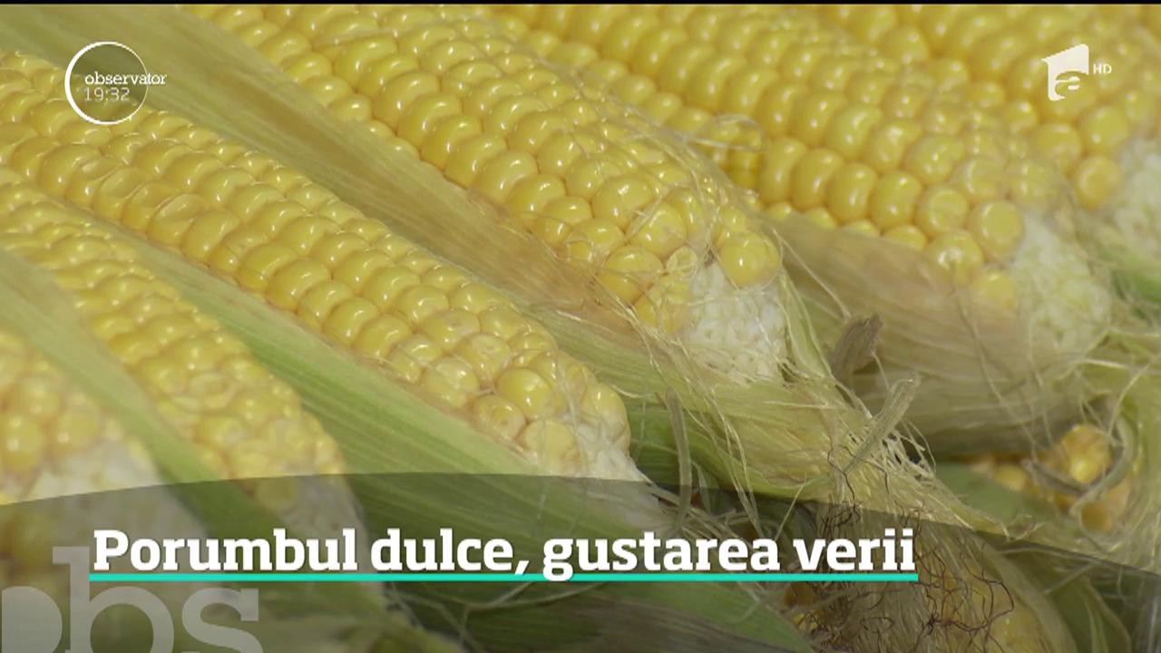 Porumbul dulce, gustarea verii