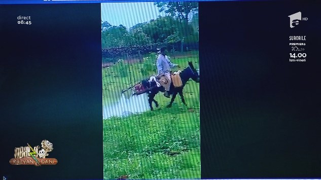 Smiley News - Neatza cu Răzvan și Dani. C&acirc;ntarul buclucaș și măgarul cu motor